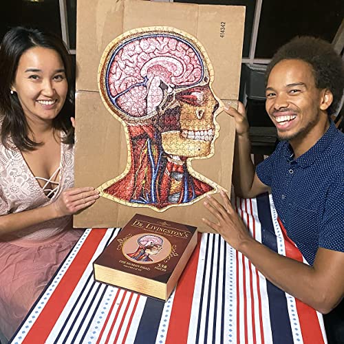 Genius Games Dr. Livingston's Anatomy Jigsaw Puzzle Human Head Anatomy