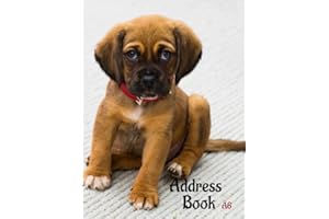Address Book: Dog cover address book. Address Book A6. small address book for purse. Pocket size