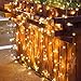 Fairy Lights Outdoor String Lights 33ft 100 LED with Memory Modes Controller, Extendable Christmas Lights Decorations for Wedding, Christmas, Party, Patio, Indoor Outdoor (Black Wire- Warm White)
