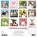 Just Chihuahua Puppies 2017 Wall Calendar (Dog Breed Calendars)