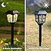 MAGGIFT Solar Pathway Lights, 8 Lumens, Black, 6 Pack, Waterproof, Easy to Install, Decorative, Solar Powered