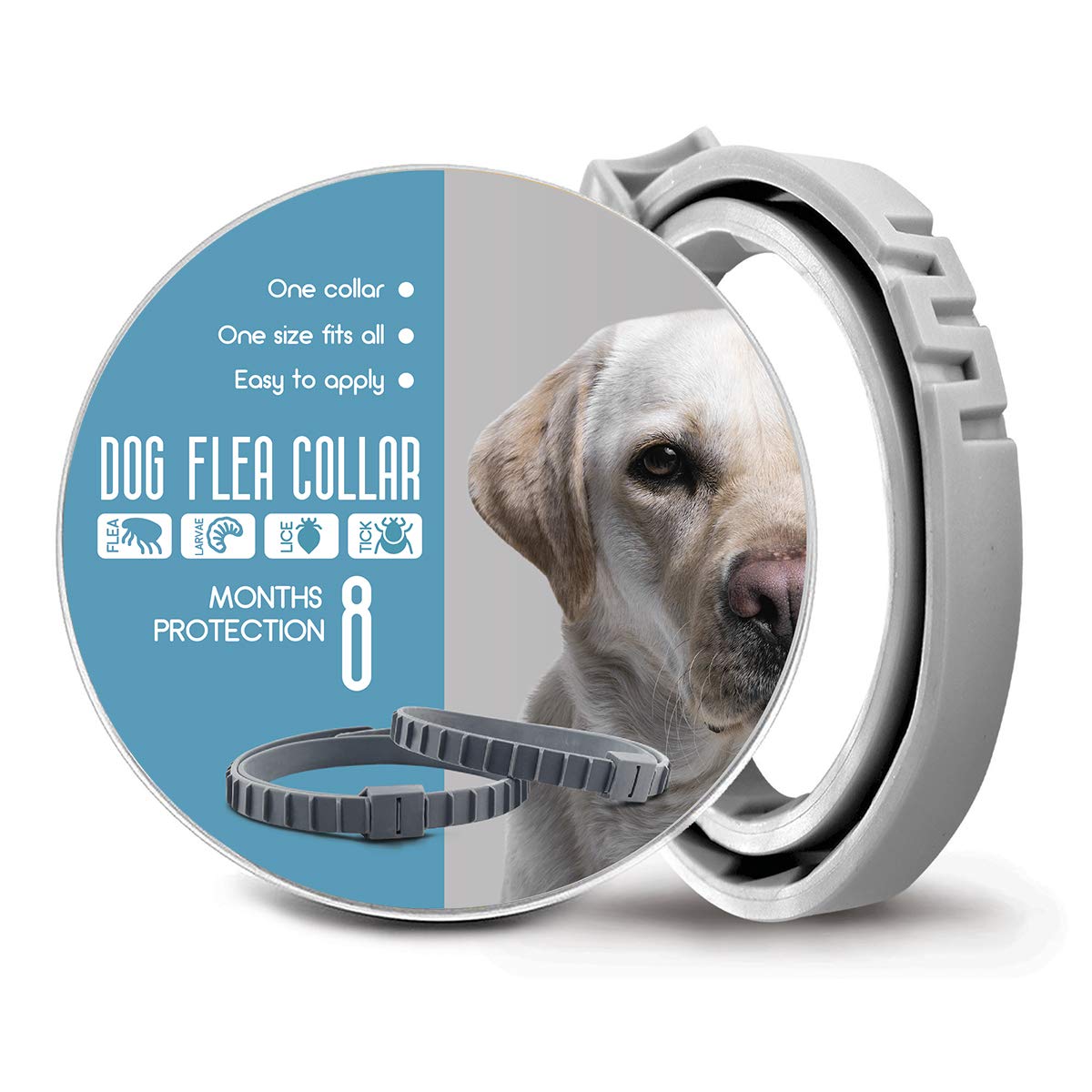 Pet-Safe Flea Collars And The Best Types photo