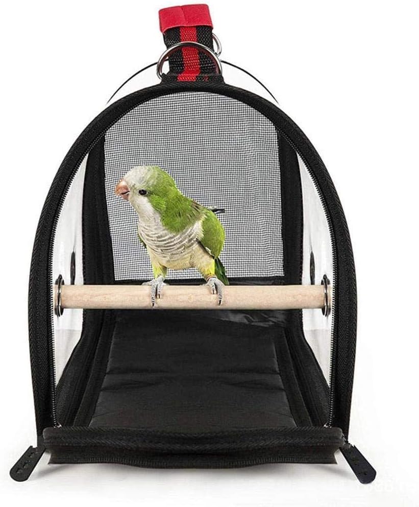 african grey travel carrier