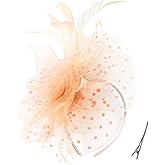 QDC Fascinators for Women Tea Party Headband Hats Cocktail Flower Mesh Feathers Headwear Hair Clip for Wedding