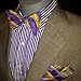 Omega Psi Phi Self-Tie Bow Tie & Handkerchief Set