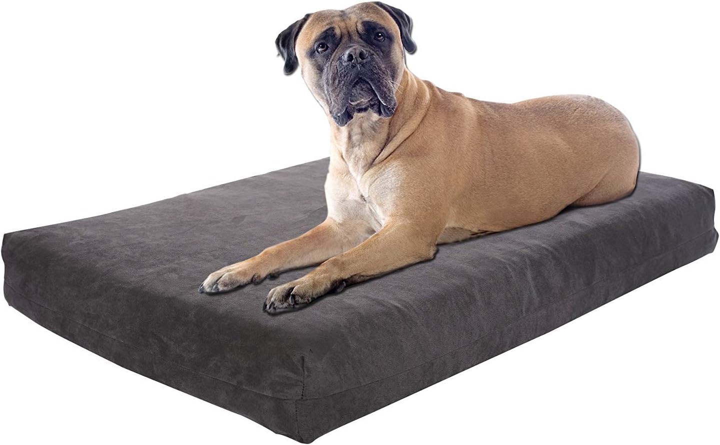 Pet Support Systems Orthopedic Memory Foam Dog Beds | Made in The USA, Supreme Luxury Comfort and Care for Dogs with Removable and Washable Cover