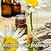 SenseLAB Roman Chamomile Essential Oil - 100% Pure Extract Chamomile Oil - Therapeutic Grade Oil Essential Oil - Essential oils for skin - Body Oil (10 ml)