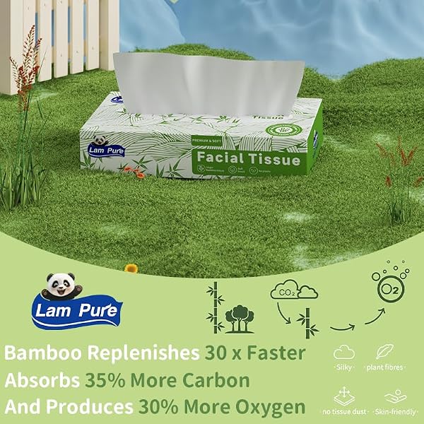 LAM PURE TISSUES 80 TISSUES PER BOX,3-PLY TISSUE PAPER FACIAL TISSUE 12 BOXES OF BULK FACIAL TISSUES APPLICABLE TO DINING ROOM BEDROOM