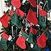Ivenf Christmas Mini Stockings, 12 Pcs 7 inches Red Green Twill Stockings, Gift Card Silverware Holders, Bulk Treats for Neighbors Coworkers Kids, Small Rustic Red Xmas Tree Decorations Set