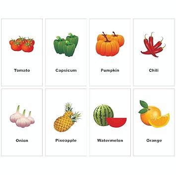 Paper Plane Design Educational Cards for Kids, ABC Alphabet Flash Cards Animal Theme Laminated, Waterproof, Multicolor, Size 3.5 X 5.5 Inch Pattern60