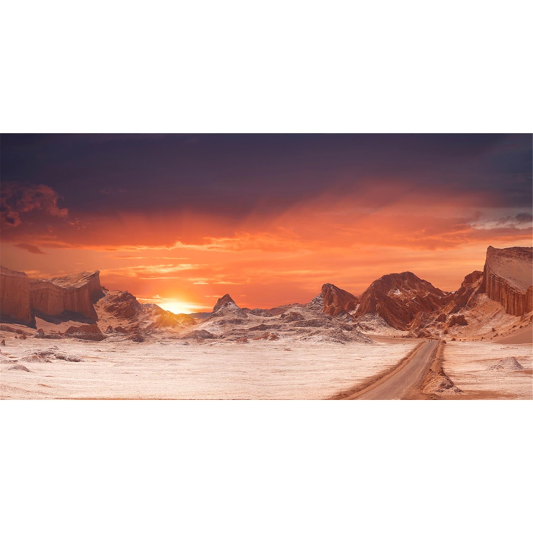 MIRRORANG 120x61cm Sun and Desert Terrarium Background Orange Reptile Habitat Background Vinyl Background