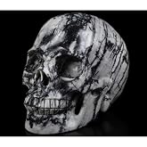 Skullis 5.0
