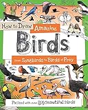 How to Draw Amazing Birds: From Songbirds to Birds