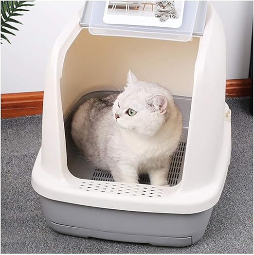 Caja gatos | Los mejores ejemplares de cajas.