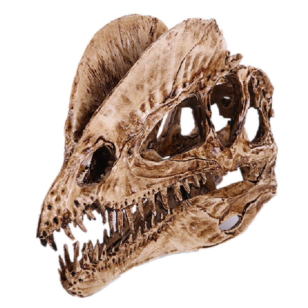 VOANZO Resin Crafts Double Crown Dragon Dinosaur Skull Model, Dinosaur Tooth Skull Fossil, Photography Props Teaching Tool Home Ornament — image 1