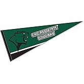 College Flags & Banners Co. Chicago State Cougars Wordmark Pennant Flag
