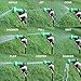 GDEALER Garden Hose Nozzle 9 Pattern Hand Spray Nozzle Heavy Duty Hand Free Clip High Pressure Water Hose Nozzle for Watering Plants, Car Wash and Showering Pets with 2 Extra Rubber Gaskets