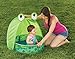Pop-Up Frog Travel Pool