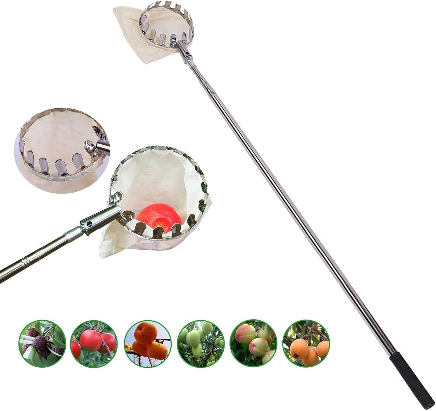 Rubyu Fruit Telescoping Pole Fruit Catcher Basket,Telescopic Fruit