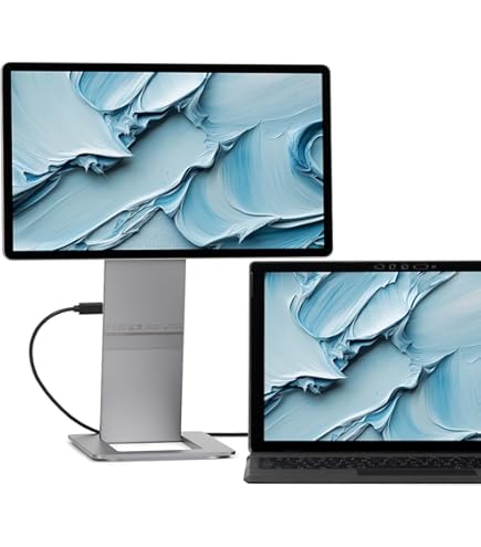 SOTSU FlipAction Go 14インチ月光 moonlight Amazon.com: SOTSU FlipAction Go 14