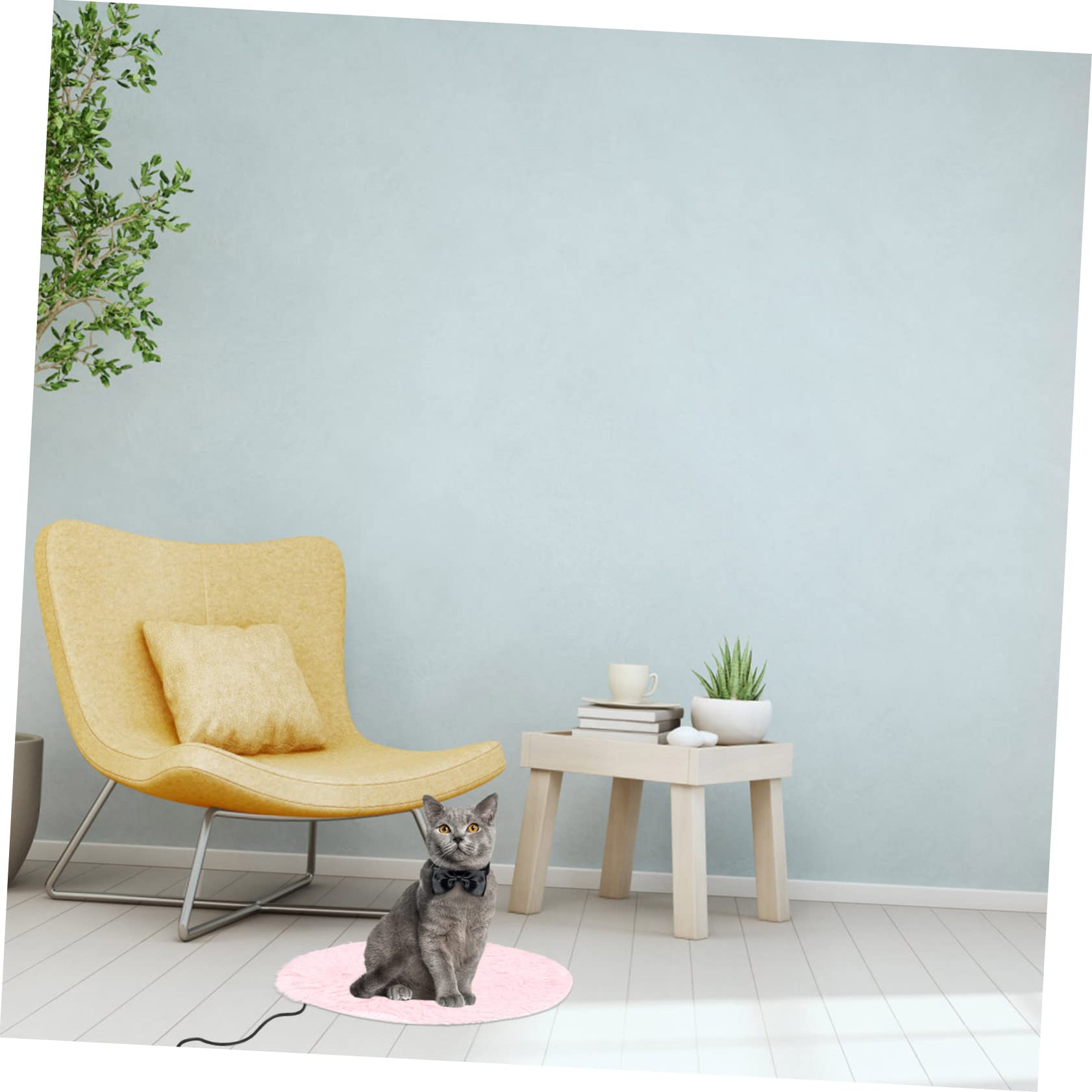 View 6