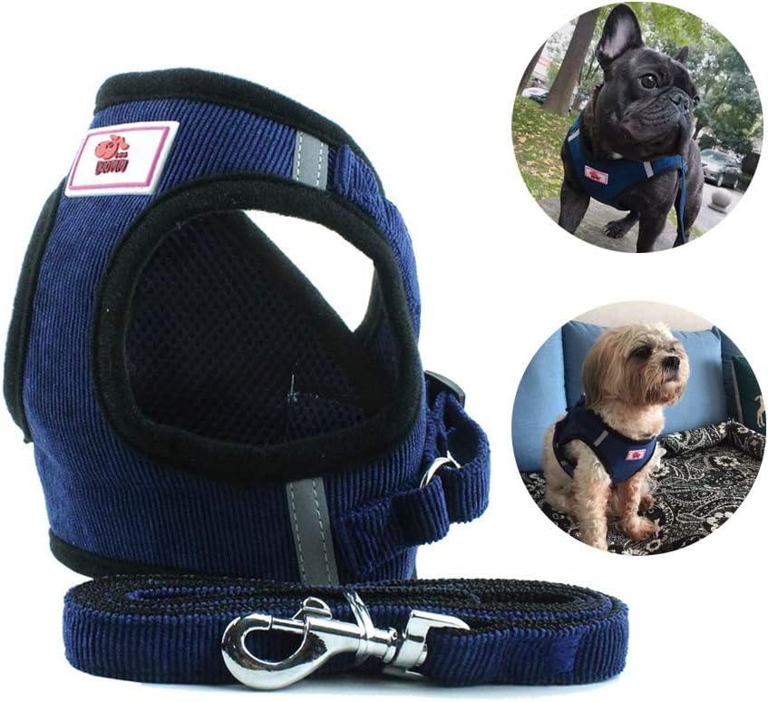 Anlitent Double Padded Fabric Non-Choke Pet Harness and Lead Set for Walking, Escape Proof Pet Vest Harnesses, Easy Fit Dog Collar and Leash Set Navy