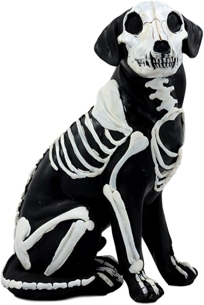 Amazon Ebros 死者の日 骨 スケルトン 犬 像 高さ7 5インチ X線 犬 スケルトン 解剖学 収集用 ハロウィン 彫刻 置物 オブジェ オンライン通販