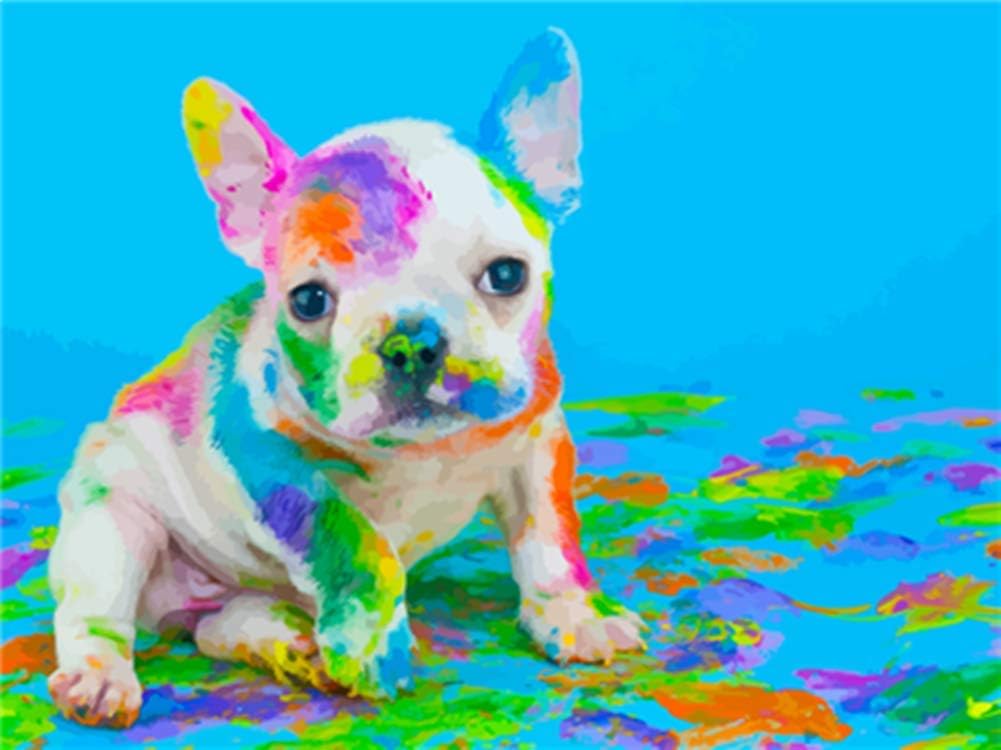 WOWDECOR Paint by Numbers Kits for Adults Kids Diy Oil Painting - Colorful Speckled Dog Animals 16x20 inch (Framed)