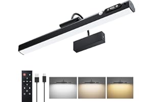 RIRIBEN 15.7'' Picture Lights for Wall with Motion Sensor & 9000mAh Rechargeable Battery, Picture Light for Paintings, Portra