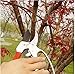 Ratchet Pruning Shears - Sharp Garden Hand Pruners - Easy Ratcheting Action - Best Anvil Gardening Secateurs for Small to Medium Jobs - Simple to Lock or Unlock - 100%