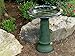 Tierra Birds and Beyond 4-8181T Gloss Bird Bath Bowl with Gloss Rim, Hunter Green