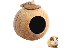 ZixmiX Interactive Hamster Toys: Discover The Coconut Hideaway for Endless Fun with Coconut Shell Hermit Crab Shells (Coconut Shell), brown