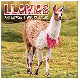 2020 Llamas Wall Calendar by