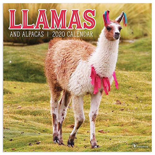 2020 Llamas Wall Calendar by TF Publishing
