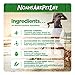 Noah's Ark Pet Life Advanced Hip and Joint Supplement for Dogs, Soft Chews, Arthritis Pain Relief, Anti Inflammatory, Glucosamine Chondroitin MSM, All Natural Organic Turmeric, Bacon Flavor, 90 Ct