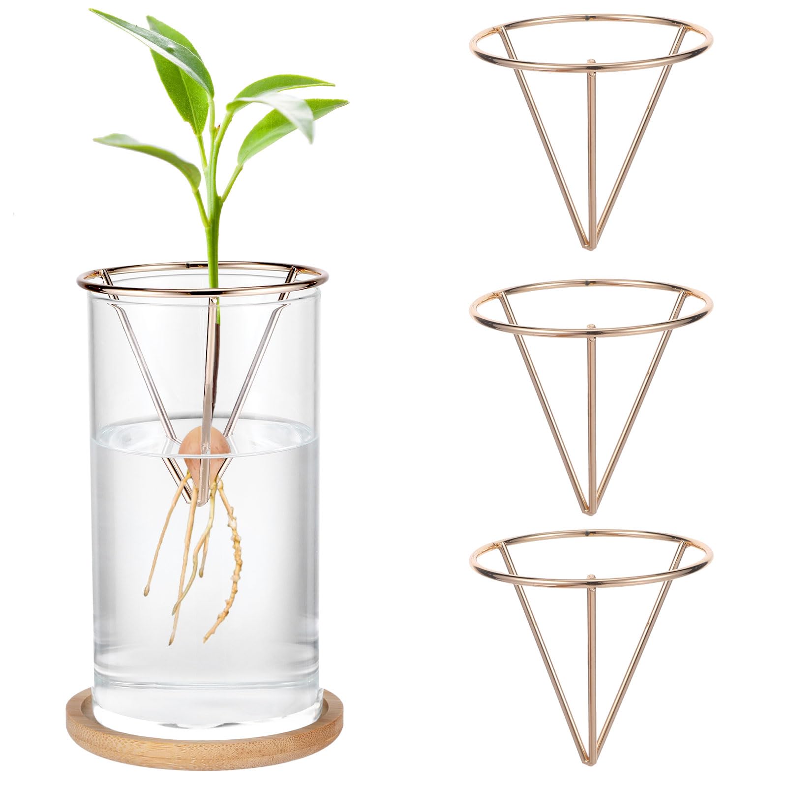Photo 1 of Yylaiire 4 Pcs Avocado Tree Growing Kits, Avocado Seed Holder Triangular Metal Bracket, Seed Starter Rack, Propagation Vases for Home Office, Gardening Lovers Gift (Gold)