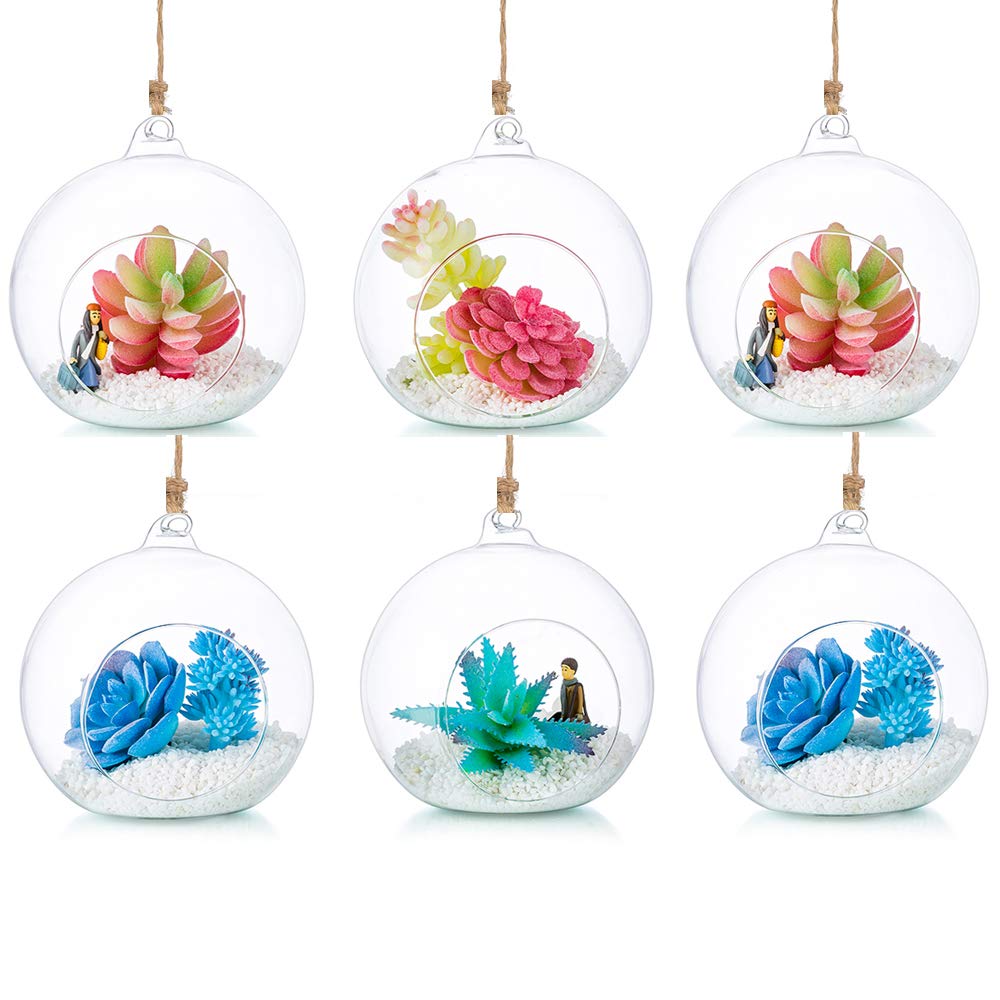 12cm Hanging Glass Globes Terrarium Orbs 6 Pcs Glass Planter Big Opening Air Fern Plants Vase Hanger for Home Party Wedding Garden DIY Design