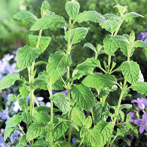 cheap planting pots Outdoor Planter From H Potter, Round Column Flower Garden Planter Indoor Outdoor