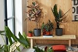 elho B.for Soft Round 18 Indoor Plant Pot 100% Recycled Plastic Ø18.3 x H16.7 view 6