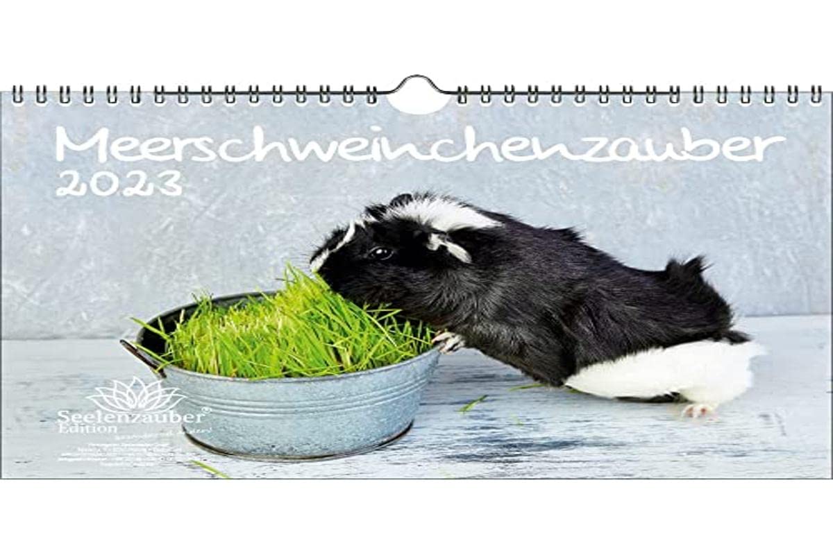 Guinea Pig Magic DIN A4 Calendar for 2023 Guinea Pigs - Seelenzauber, multicoloured, KN2023-4W-0062-D-0