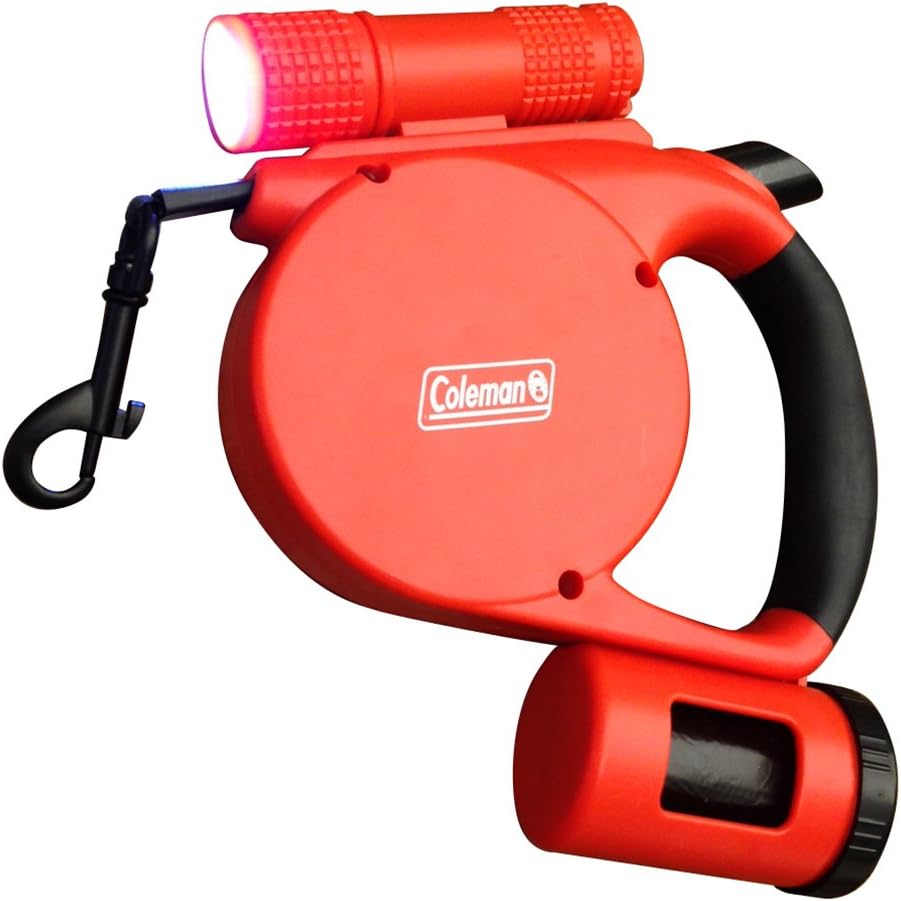 colorful freshwater angelfish