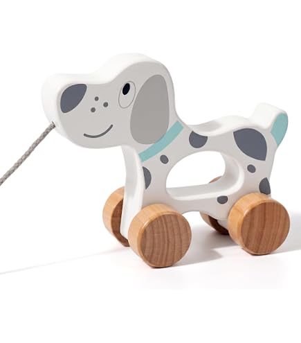 Amazon.com: Orange Tree Toys Peter Rabbit Push Along : Toys & Games