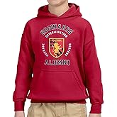 Harry Potter Gryffindor Red Alumni hoodies, Large