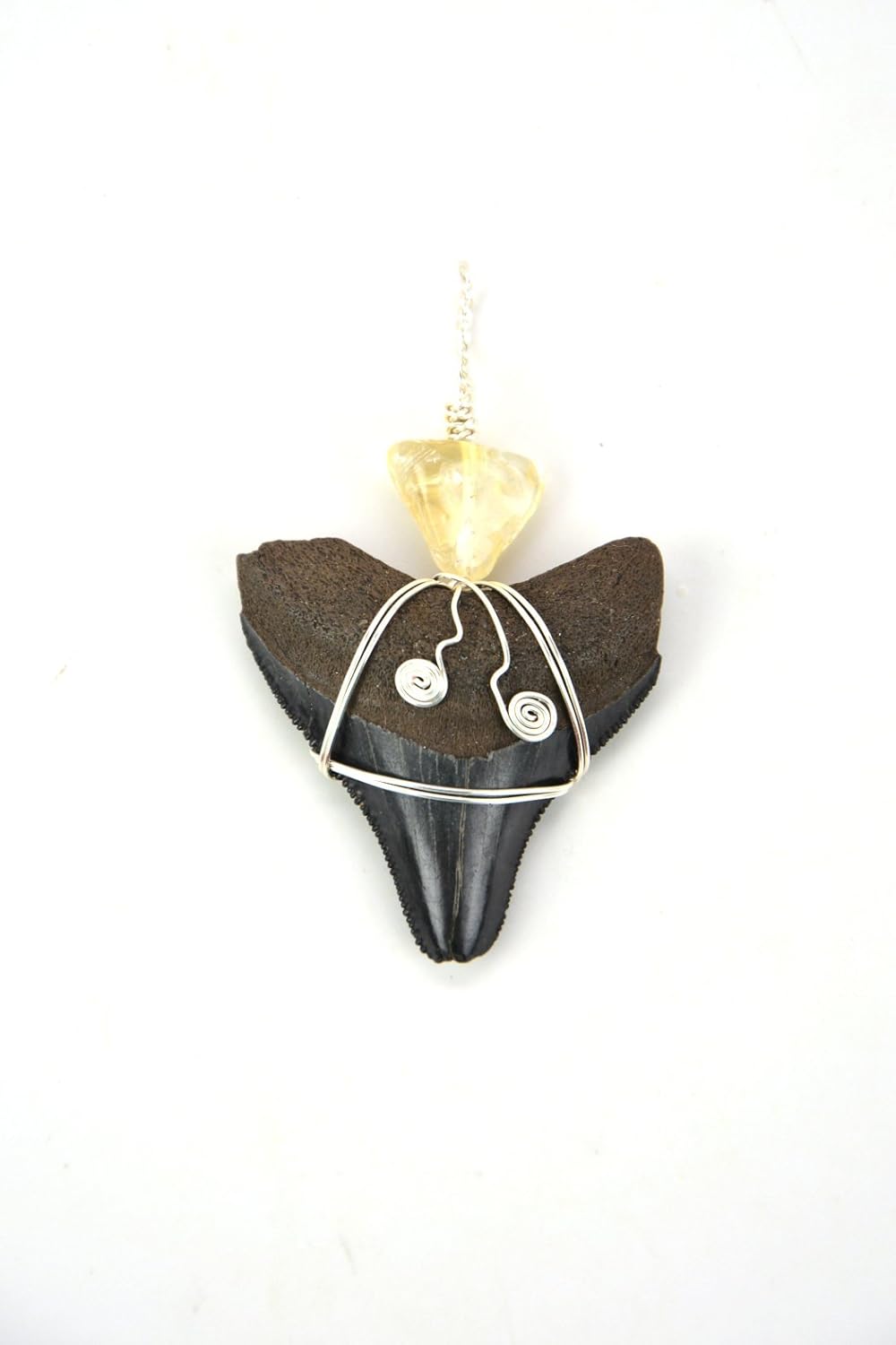 Megalodon Shark Tooth Pendant Necklace