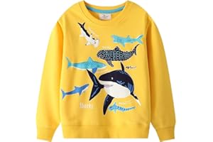 RETSUGO Toddler Little Boys 100% Cotton Crewneck Sweatshirts Long Sleeve Shirt Pullover Sweater Kid Fall Clothes 2-7 Years