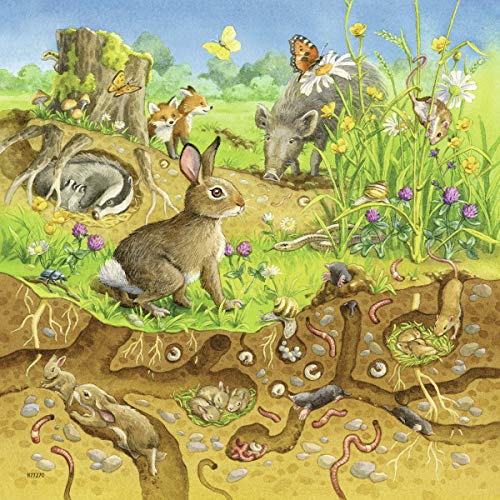 Ravensburger Kinderpuzzle - 08050 Tiere in ihren Lebensräumen - Puzzle für Kinder ab 5 Jahren, mit 3x49 Teilen – Bild 3