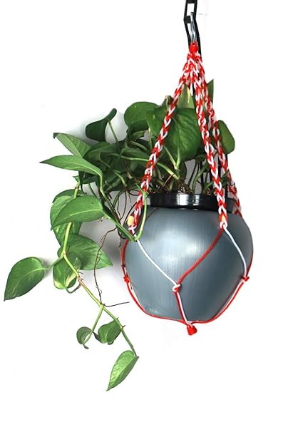 POT & PLANT SHOP Apple Shape Double Layer Hanging Flower Pot Set of 1