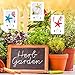 Maitys Floral Card Holder Picks 12.2 Inches Plastic Straight Head Floral Photo Sticks Clear Fork Shaped Flower Place Card Holders for Bouquet Arrangement Mother's Day Wedding Birthday Party Decoration