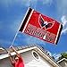 WinCraft Washington Capitals 2018 Stanley Cup Champions Outdoor Flag and Banner