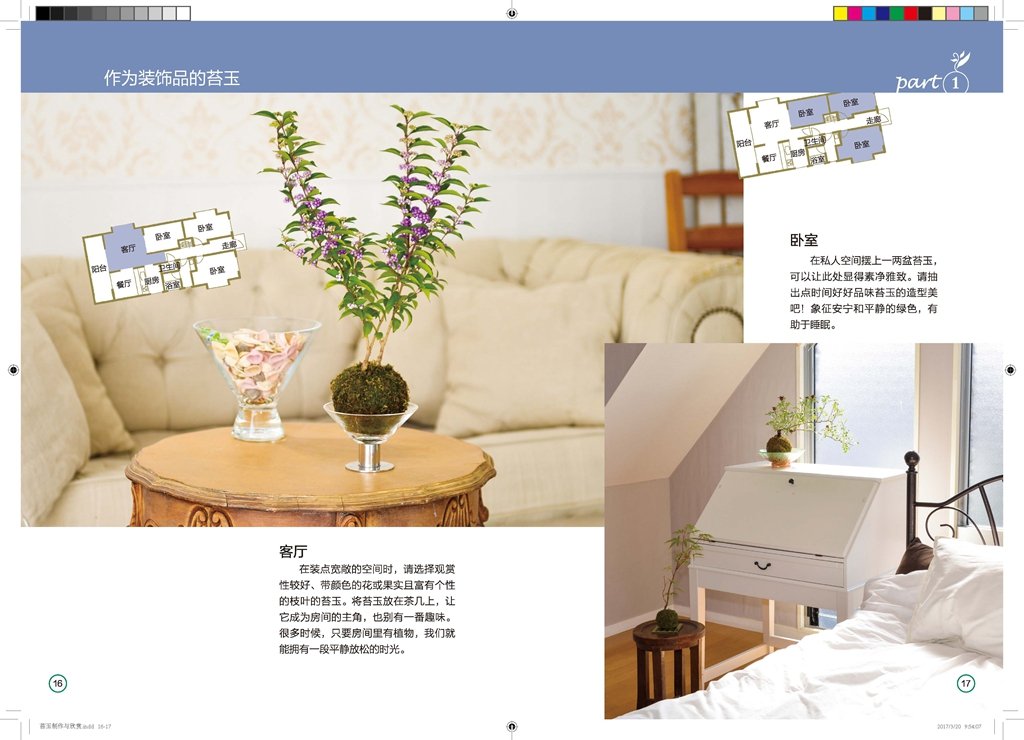 苔玉制作与欣赏 日本绿景工作室编著 Amazon Com Books 苔玉制作与欣赏 日本绿景工作室编著 Amazon Com Books